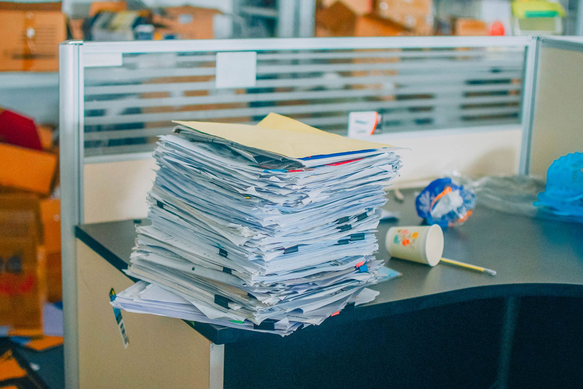 1656061973425405.jpg 斑馬搬家-67.jpg